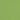 Sunbrella Canvas Ginkgo